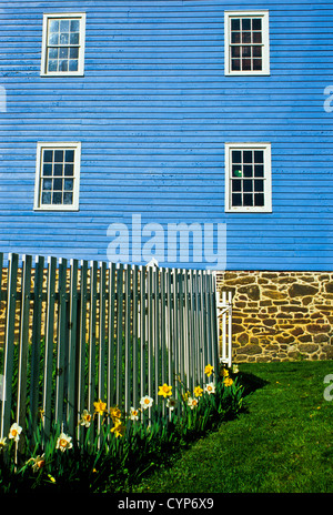 Gartenblumen, frühlingshafte Narzissen, weißer Zaun und blaue historische Walnford Farm-Mühle, Monmouth County, Freehhold Twp., New Jersey, USA Stockfoto
