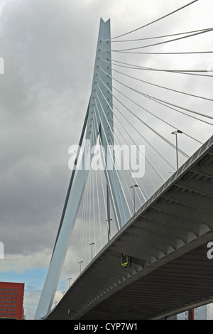 Erasmusbrücke (Erasmus-Brücke), über die Nieuwe Maas, Rotterdam, Niederlande. Die Brücke ist auch den Spitznamen "The Swan" Stockfoto