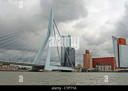 Erasmusbrücke (Erasmus-Brücke), über die Nieuwe Maas, Rotterdam, Niederlande. Die Brücke ist auch den Spitznamen "The Swan" Stockfoto