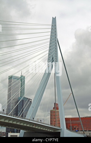 Erasmusbrücke (Erasmus-Brücke), über die Nieuwe Maas, Rotterdam, Niederlande. Die Brücke ist auch den Spitznamen "The Swan" Stockfoto