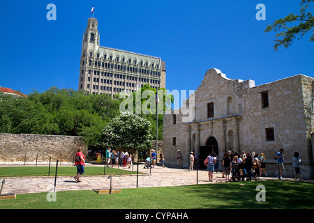 Die Kapelle der Alamo Mission in der Innenstadt von San Antonio, Texas, USA. Stockfoto