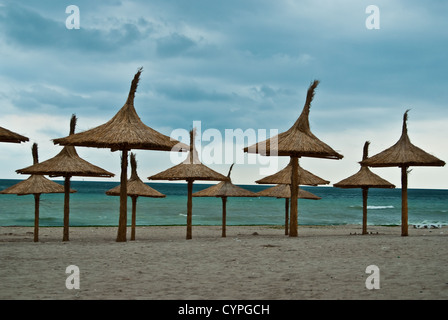 Sonnenschirme an einem einsamen Strand, in den frühen Morgenstunden, bei Sonnenuntergang Stockfoto