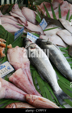 gestreifte Meeräschen Markt Filets vom Seeteufel, Meer Bässe und Steinbutt auf Fisch Stockfoto