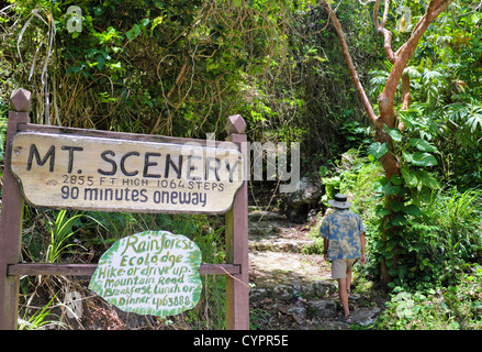 Wanderer zu Beginn des Mt. Scenery Trail in Windwardside, Saba Stockfoto