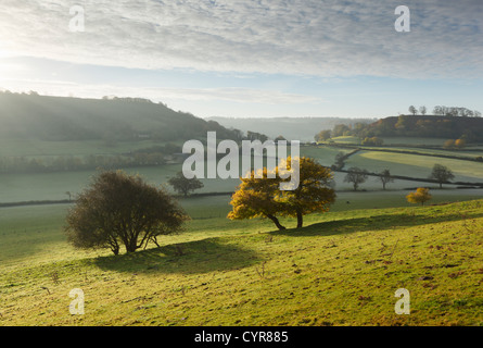 Cotswold Landschaft im Herbst.  Gloucestershire. England. VEREINIGTES KÖNIGREICH. Stockfoto