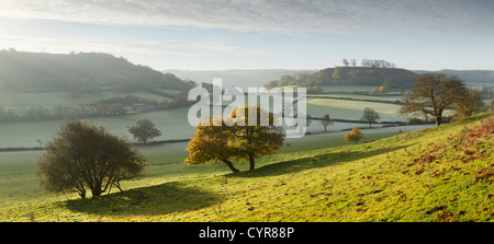 Cotswold Landschaft im Herbst.  Gloucestershire. England. VEREINIGTES KÖNIGREICH. Stockfoto