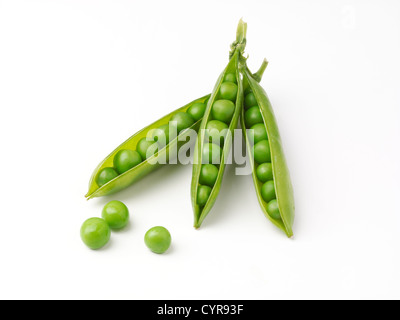 Drei Erbsenschoten mit Erbsen in Schuss auf einem weißen Hintergrund. Studio, isoliert Stockfoto