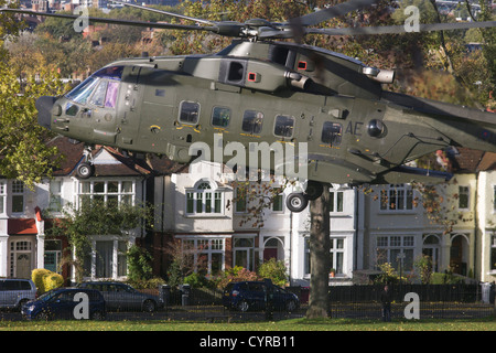 Ein AgustaWestland AW101 macht eine kontrollierte Landung in South London öffentlicher Park. Stockfoto