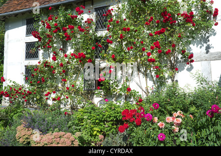 Sommer an der unteren Brockhampton Manor, Worcestershire, England, UK Stockfoto