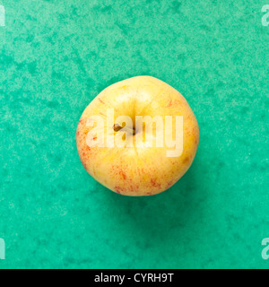 Ein Apfel auf einem lebendigen grünen Hintergrund Stockfoto