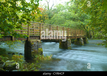 Brücke über den Fluß Rothay in Herbstfarben in der Nähe von Rydal, Ambleside, Cumbria, England Stockfoto