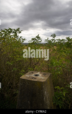 Die Grim Graben an der Ridgeway National Trail in der Nähe von Wallingford, Oxfordshire, Vereinigtes Königreich Stockfoto