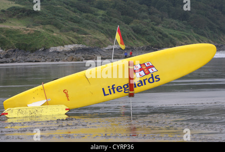 Puffball Stockfoto