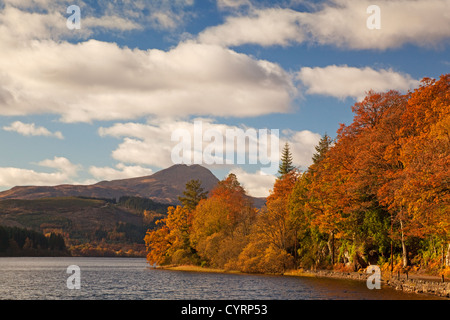 Herbstfarben am Loch Ard. Ben Lomond ist im Hintergrund. Stockfoto