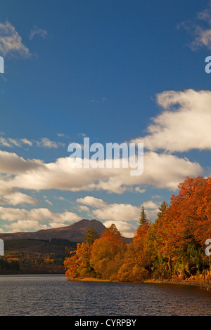 Herbstfarben am Loch Ard. Ben Lomond ist im Hintergrund. Stockfoto