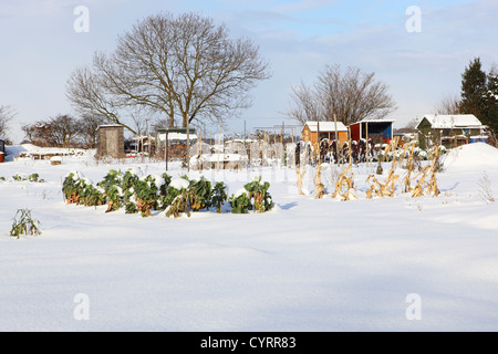 Schneebedeckte Winter Schrebergärten bei bewölktem Himmel blau Stockfoto