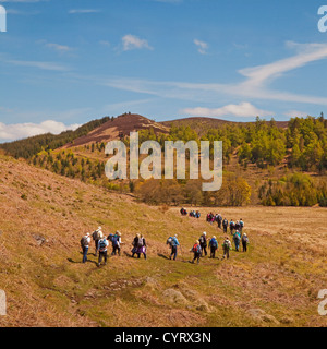 Wandern-Club auf dem Rob Roy Weg durch die Menteith Hills zwischen Aberfoyle und Callander Stockfoto