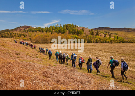 Wandern-Club auf dem Rob Roy Weg durch die Menteith Hills zwischen Aberfoyle und Callander Stockfoto