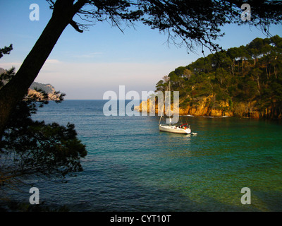 Aiguablava. Begur (Costa Brava). Baix Empordà. Girona. Catalunya. Spanien. Stockfoto