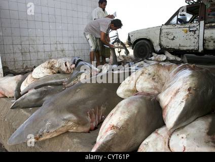 Haufen von Haien und Fischer In Al Hodeidah Fisch Markt, Jemen Stockfoto