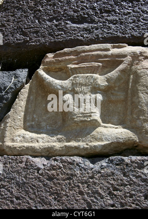 Stierkopf, gemeißelt In Stein einer Hauswand, Rada, Jemen Stockfoto