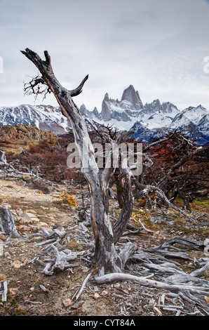 Ein Blick auf Mount Fitz Roy in Patagonien, Argentinien Stockfoto