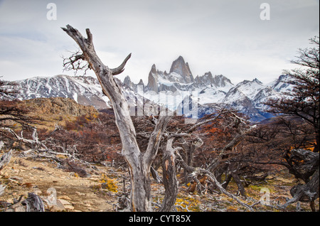 Ein Blick auf Mount Fitz Roy in Patagonien, Argentinien Stockfoto