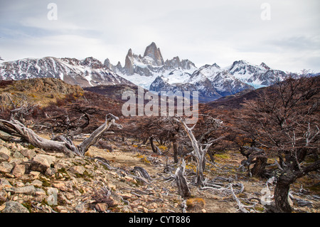 Ein Blick auf Mount Fitz Roy in Patagonien, Argentinien Stockfoto