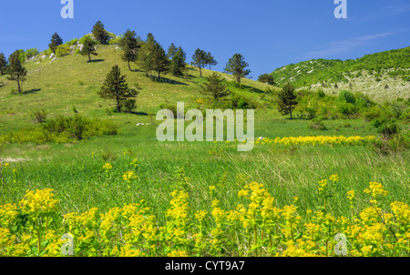 Berglandschaft in Lika, Kroatien Stockfoto