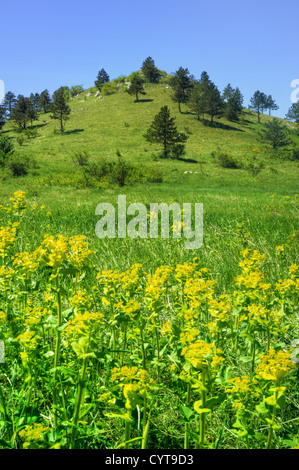 Berglandschaft in Lika, Kroatien Stockfoto