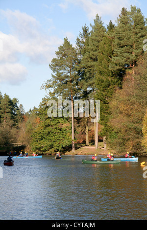 Herbst Stockenten Hecht Lake Forest of Dean Gloucestershire England UK Stockfoto