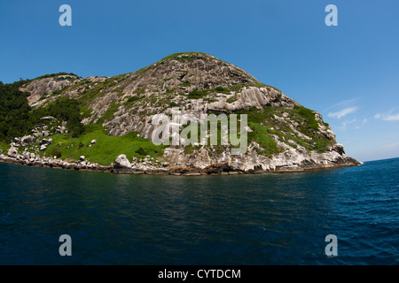 Queimada Grande Island, South Shore von São Paulo Zustand, bekannt als die "Insel der Schlangen" wegen der sehr giftigen Schlangen. Stockfoto