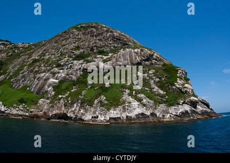 Queimada Grande Island, South Shore von São Paulo Zustand, bekannt als die "Insel der Schlangen" wegen der sehr giftigen Schlangen. Stockfoto