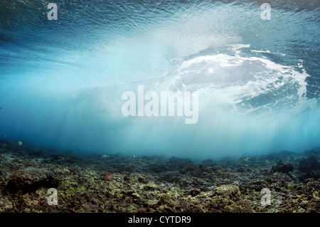 Welle bricht am Riff, gesehen von unterhalb der Oberfläche Palikir Pass, Pohnpei, Föderierte Staaten von Mikronesien Stockfoto