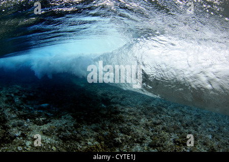 Welle bricht am Riff, gesehen von unterhalb der Oberfläche Palikir Pass, Pohnpei, Föderierte Staaten von Mikronesien Stockfoto