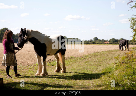 Zwei Pferde und eine Reisende Frau stehen neben einem Feld auf dem Lande. Stockfoto