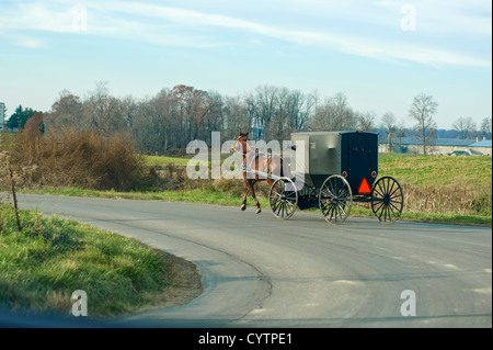 Amish Leute reisen auf einer Straße in ihrem Buggy an einem Herbsttag Stockfoto