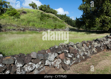 Elk284-7551 Hawaii, Kauai, Wailua River State Park, Holioholoku Heiau Stockfoto