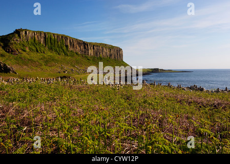 Ansicht von Drumadoon Point, einer Küstenstadt Wahrzeichen in der Nähe von Blackwaterfoot auf der Isle of Arran, Scotland, UK Stockfoto