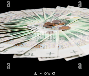 Fan von hundert Polnischer Złoty-Banknoten und-Münzen Stockfoto