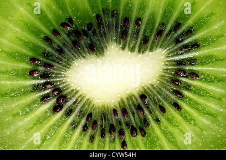 Kiwi Fruit slice Stockfoto