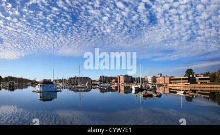 Boote In Aal-Teich, Woods Hole, Cape Cod, Massachusetts, USA Stockfoto