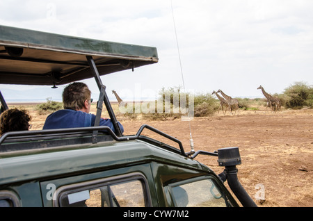 LAKE MANYARA NATIONAL PARK, Tansania – Touristen beobachten in einem Pop-up-Safari-Fahrzeug eine Gruppe von Giraffen, die im Lake Manyara National Park im Norden Tansanias vorbeilaufen. Stockfoto