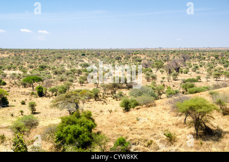 TARANGIRE-NATIONALPARK, Tansania – ein erhöhter Blick auf die Landschaft im Tarangire-Nationalpark im Norden Tansanias, nicht weit vom Ngorongoro-Krater und der Serengeti entfernt. Stockfoto