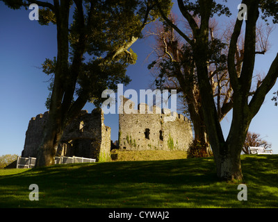 Restormel Castle, Cornwall, England. VEREINIGTES KÖNIGREICH. Polarisiert. Stockfoto