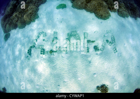 Unterwasser Aloha Denkmal angesehen von Oberfläche im Honaunau Coral Reef, Big Island, Hawaii, USA Stockfoto