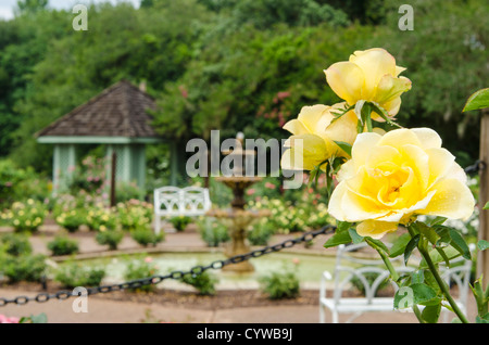 Harry P. Leu Gardens, Orlando, Florida, USA Stockfoto