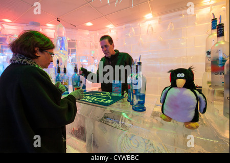 Gönnern an der Ice Bar-Orlando, Florida. Stockfoto