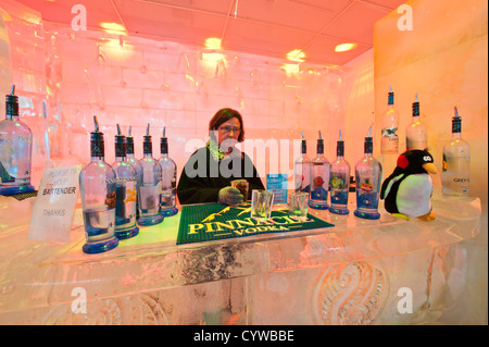 Gönnern an der Ice Bar-Orlando, Florida. Stockfoto