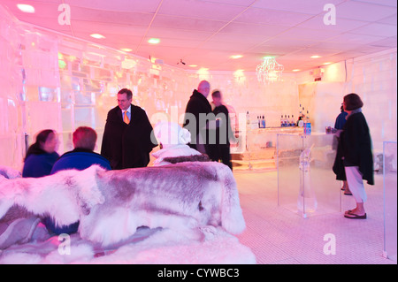 Gönnern an der Ice Bar-Orlando, Florida. Stockfoto